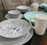 ونیزیا طوسی